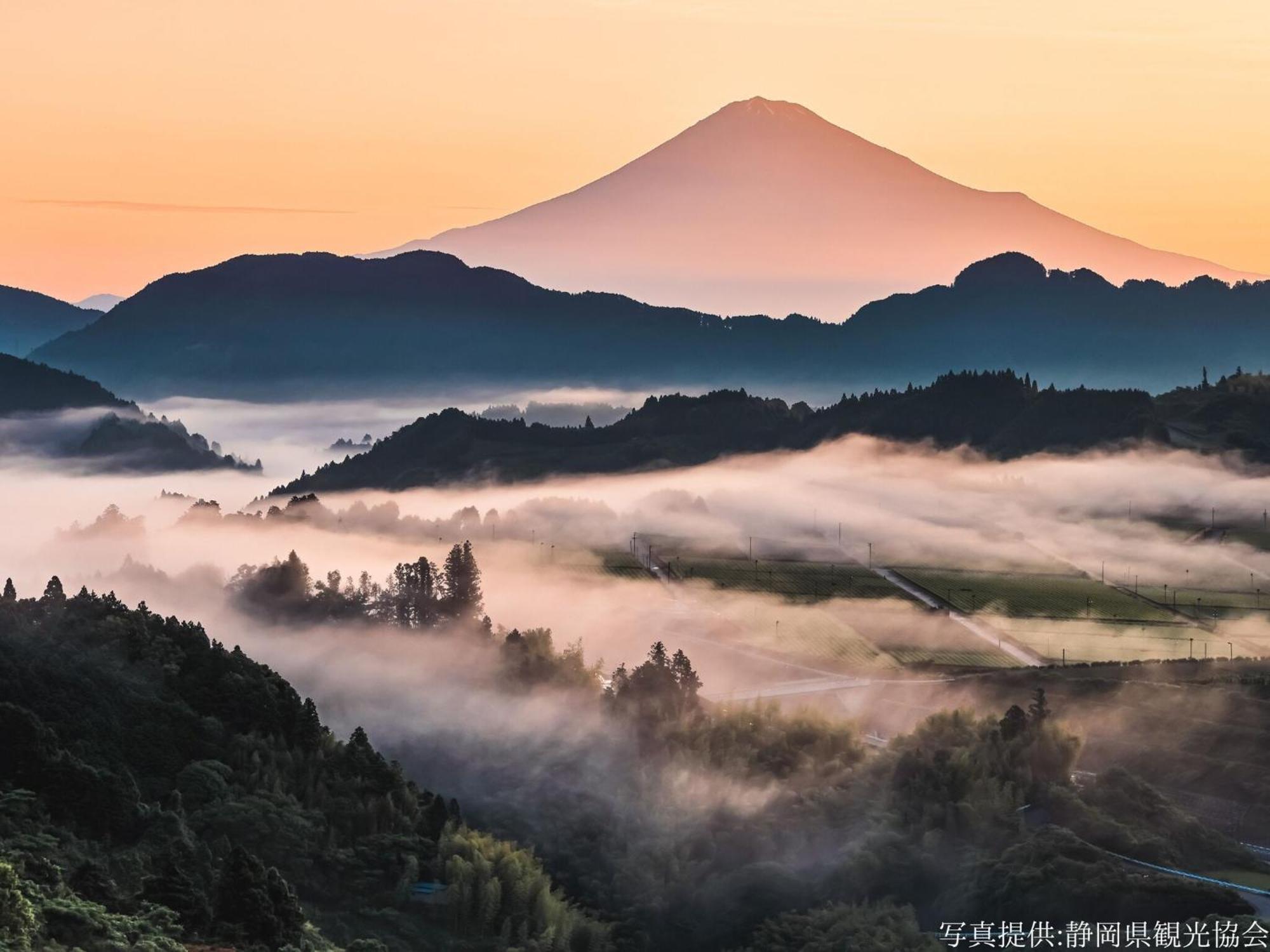 Hotel Wing International Shizuoka Dış mekan fotoğraf