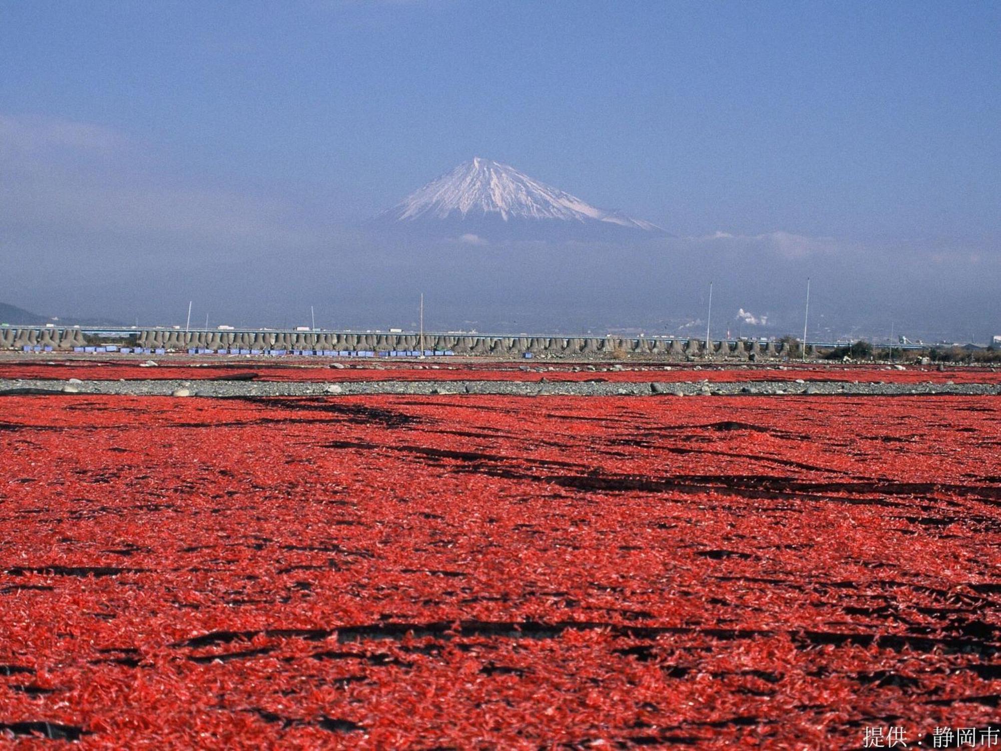 Hotel Wing International Shizuoka Dış mekan fotoğraf